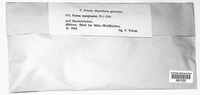 Fomitopsis pinicola image